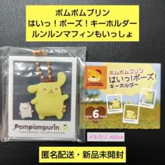 ポムポムプリン はいっ！ポーズ！キーホルダー ルンルンマフィンもいっしょ