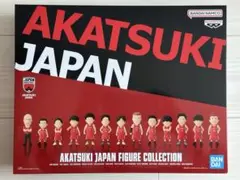 アカツキジャパン フィギュアコレクション 全13体フルセット