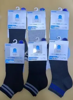 アセドロン　グンゼ　メンズ　靴下　　6足　セット