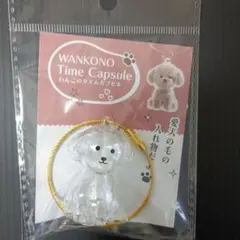 わんこのタイムカプセル　むぎ