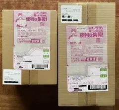 ポケセン段ボール未開封　メガドリームEXBox&フクオカスペシャルBOX