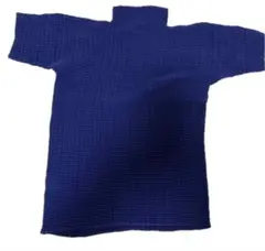 ISSEY MIYAKE FETE プリーツ 半袖 トップスのサムネイル