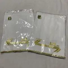 Item thumbnail for item 8aa488b5-9d29-40e1-b1ba-04f18f70c207