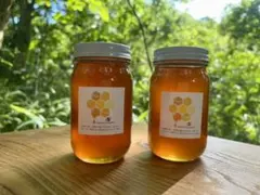 日本蜜蜂の蜂蜜 実量500g×2本 今年6月採蜜 - メルカリ