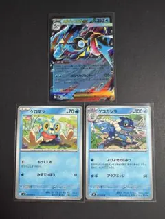 【RR】 メガゲッコウガex 進化ライン付き