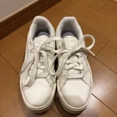 Item thumbnail for item b6ee543f-afbc-4d70-b189-0a7ed3f191c9