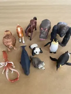 アニア動物フィギュア 11体セット