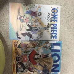 ONE PIECE ジャンプフェスタ2002　未開封　クリアファイル　下敷き ONE PIECE ジャンプフェスタ2002 未開封 クリアファイル 下敷き - メルカリ