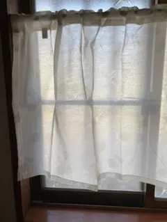 Item thumbnail for item a5e549d8-0ea7-4775-8cd1-1372d7b00b44