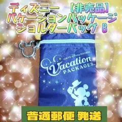【非売品】ディズニー バケーションパッケージ ショルダーバッグ B