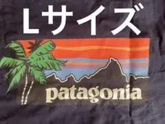 【新品 ハワイ限定】Patagonia TシャツL
