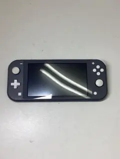 ジャンク　Nintendo Switch Lite グレー