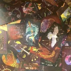 Item thumbnail for item 1458e7b5-088a-47ef-8eca-8ccf6805e91f