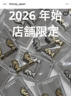 ザキャップ　別注　ピンズ　新品　59fifty ニューエラ　メッツ　ヤンキース