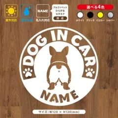 【お名前・文字変更自由】コーギー　ドッグインカー 　ステッカー