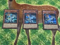 調和ノ天救竜 シークレット　3枚セット 遊戯王