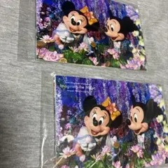 ディズニーリゾート　はがき　2組セット　6枚　写真　ディズニーランド　ディズニー