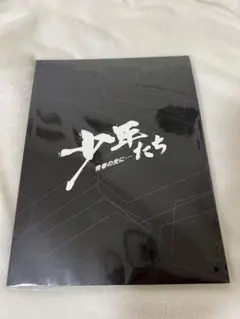 少年たち 2019 パンフレット なにわ男子