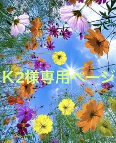 Ｋ2様専用ページ