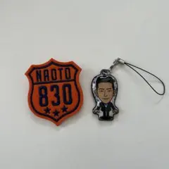EXILE 三代目JSB ピンバッジ スマホクリーナー