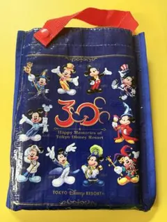 東京ディズニーリゾート 30周年 歴代ミッキーシリーズ レジャーシートのサムネイル