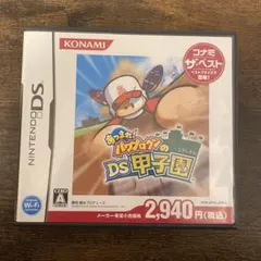 ニンテンドーDS パワプロクンの甲子園 ゲームソフト