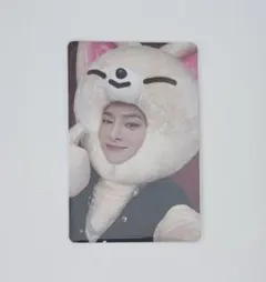 Stray Kids MAXIDENT jyp shop 特典 トレカ アイエン