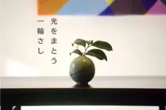 Item thumbnail for item 5d0e42f4-c0e2-48aa-966a-d2de423f23c7