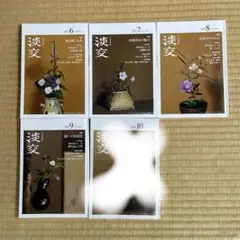 淡交　2025年6月〜10月号セット