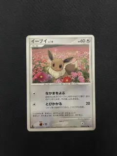 イーブイ LV.12 067/DP-P ポケモンカード - メルカリ