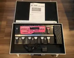 Item thumbnail for item 594c3e17-adf8-400e-a7c8-3deaeb1c6bc9