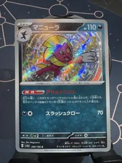 『厳選S（色違い）』マニューラ【S】ニューラ【S】2枚まとめ売り・ゲリラ特別出品