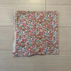 Item thumbnail for item 0970e0da-2216-453e-9e4a-0823d0091dde