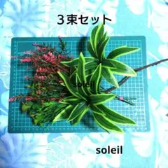 造花まとめ売り緑とピンク ♥３束セット♥