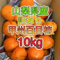 2025年最新】甲州百目柿の人気アイテム - メルカリ