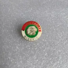 2002年サッカーワールドカップスーパイーグルス ナイジェリア ピンバッジ