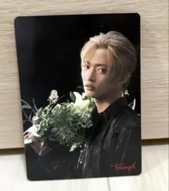 トリンプ　Triumph 佐藤新　IMP. カード