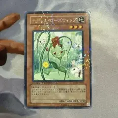 ナチュルローズウィップ　dt