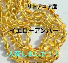 2026年最新】リトアニア アンバーの人気アイテム - メルカリ