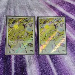 パチュル AR 2枚セット　単品でも購入可　単品価格　300円