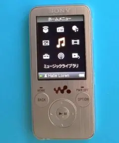 ウォークマンWalkman　S 736 F 4 GB    本体のみ