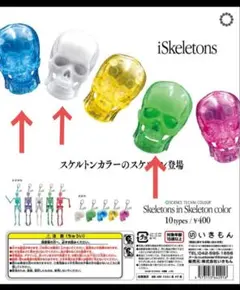 iSkeletons サイエンステクニカラー ブルー 蓄光 ホワイト3個セット