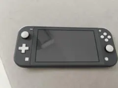 2026年最新】nintendo switch lite グレーの人気アイテム - メルカリ