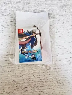 Nintendo Switch カードケース　ポケモン