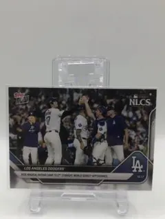 topps スポーツカード