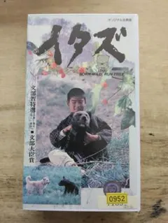 間部正志 ノーホシTHEルーザー 全1巻 魂の唄キュイーン 零の遊戯