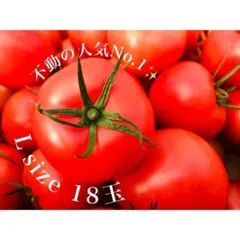 Mayu様　専用　Lサイズ×2