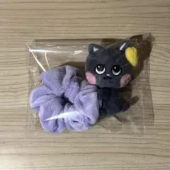 【匿名配送】riize riizing day ソウルコン シュシュ