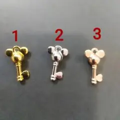 鍵型のチャーム１０個