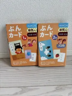 フラッシュカード　大量　セット　公文　家庭保育園 フラッシュカード 大量 セット 公文 家庭保育園 Amazon.co.jp